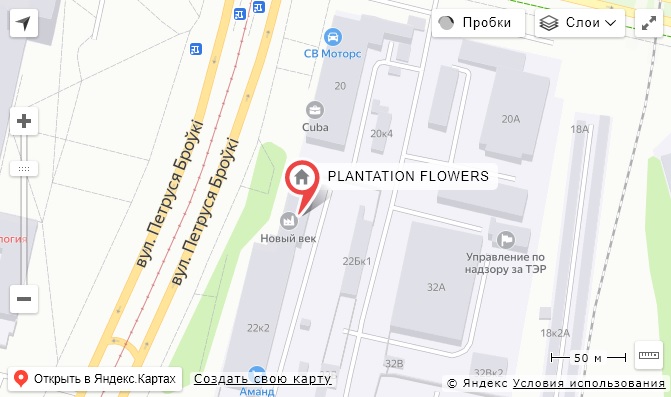 Подвал Подвал